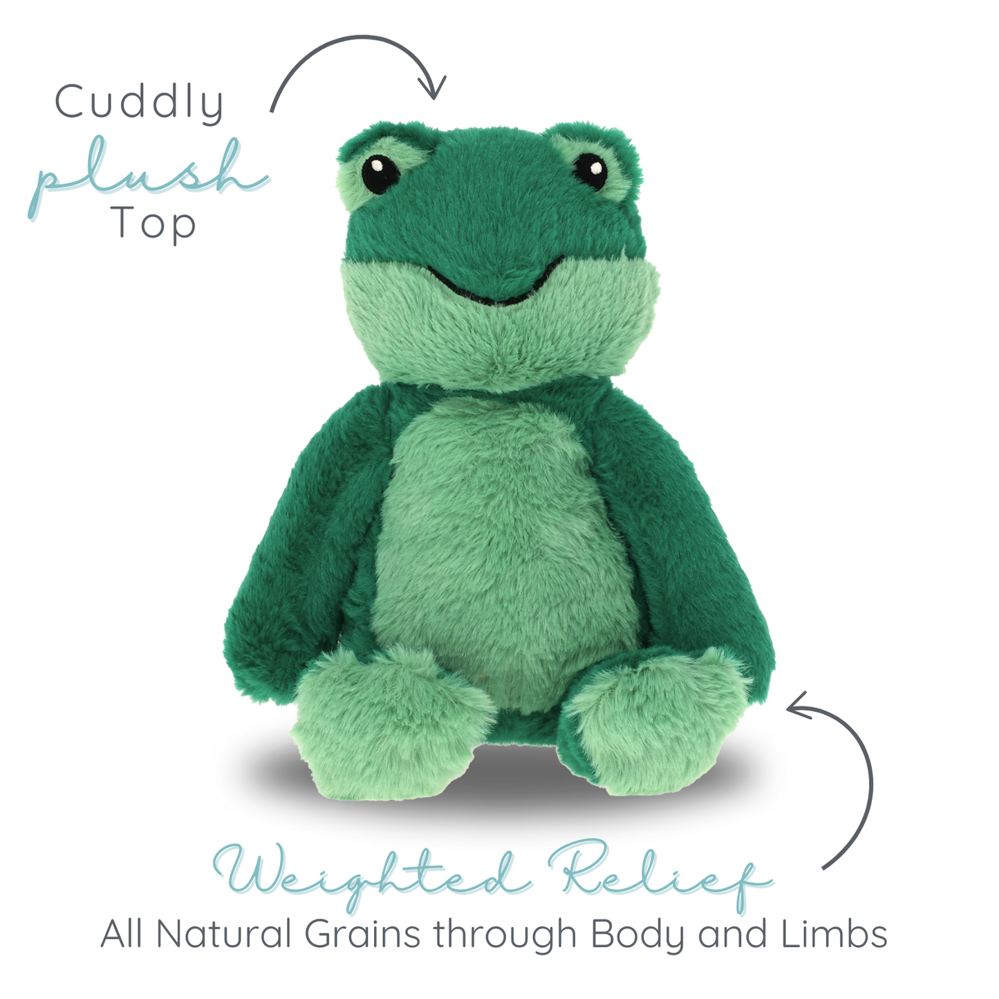 Freddy Frog