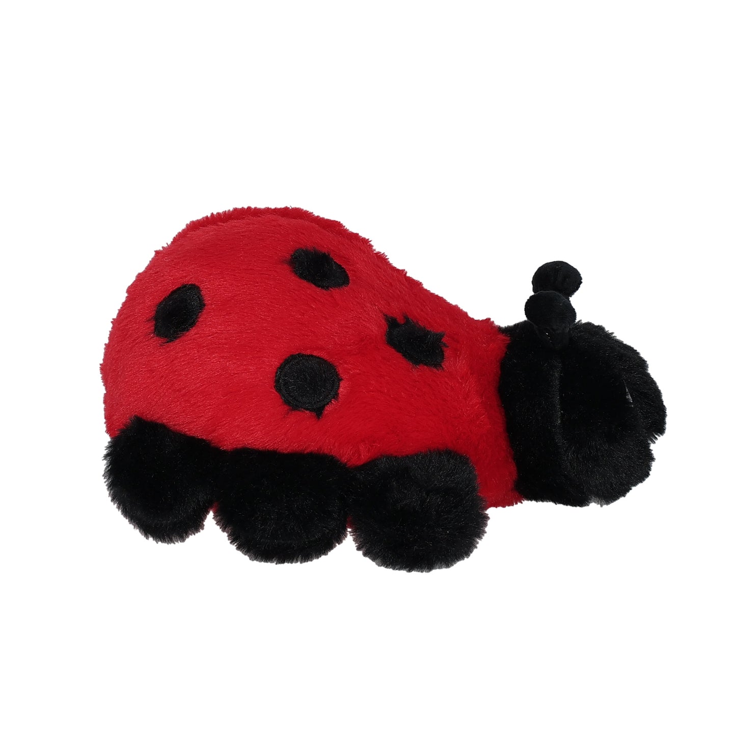 Lilly Ladybug