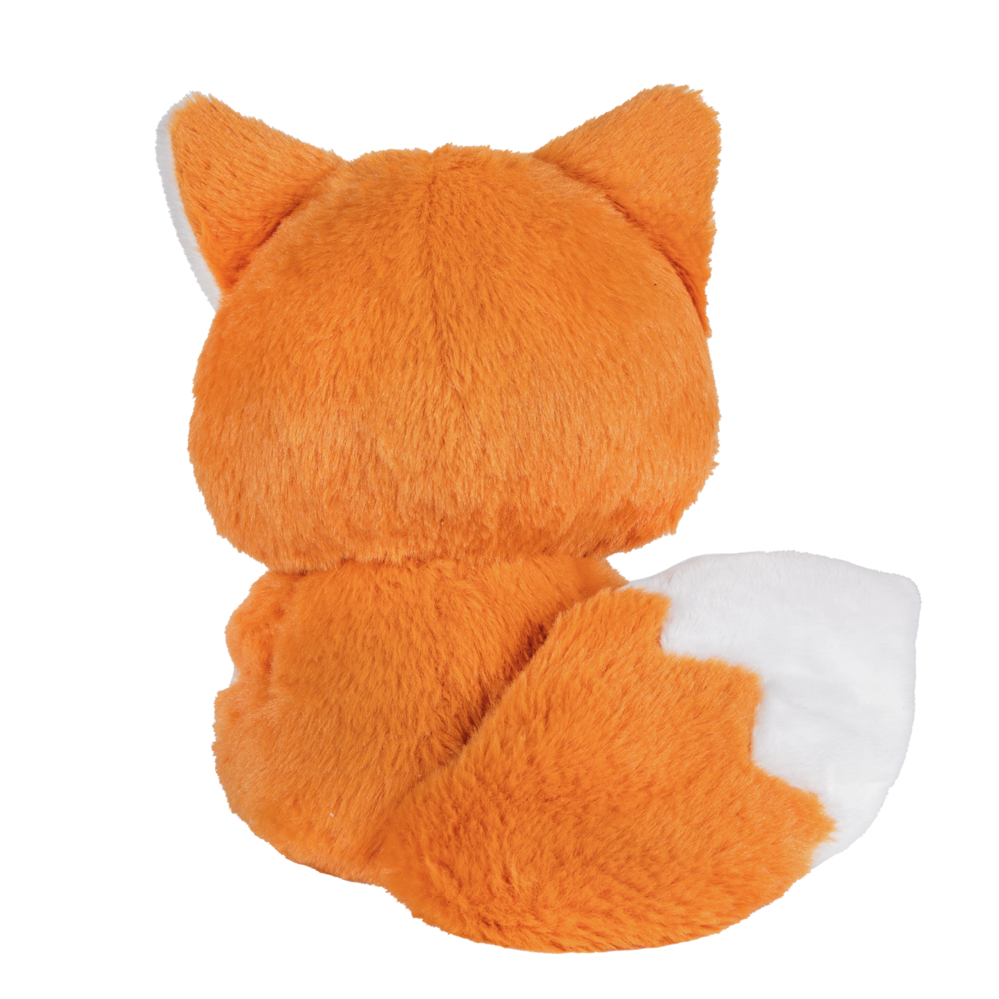 Friendly Fox