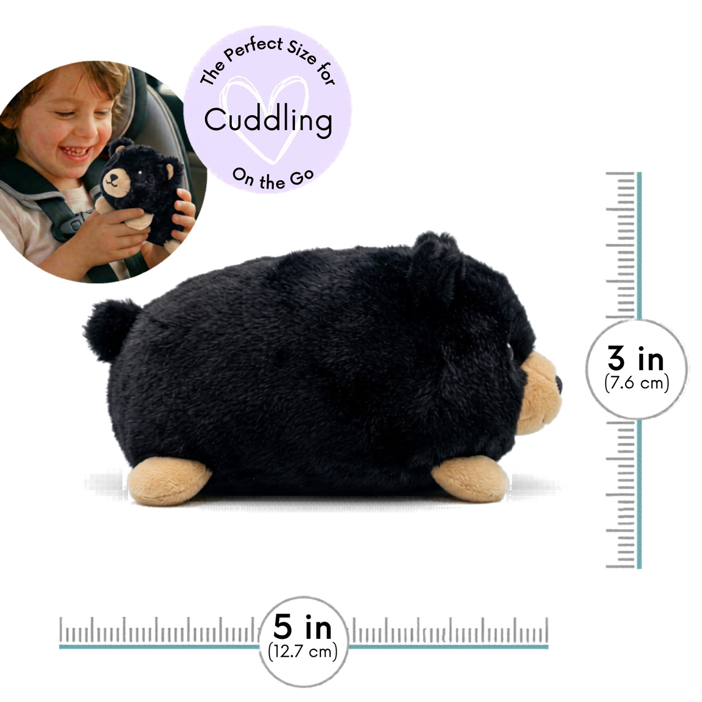 Baby Black Bear