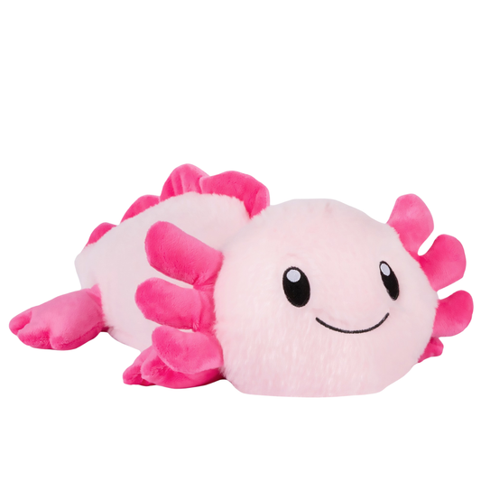 Ari Axolotl