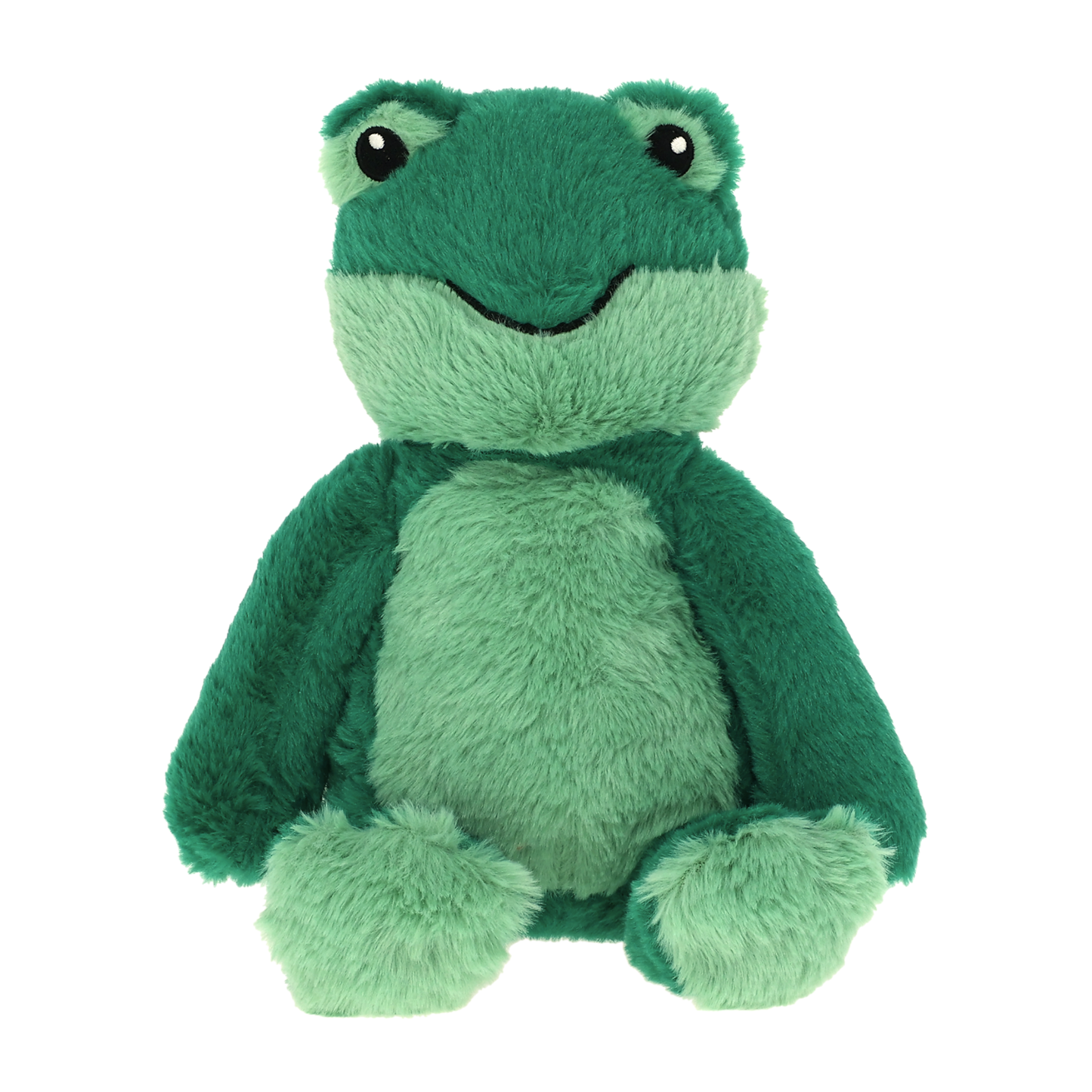 Freddy Frog