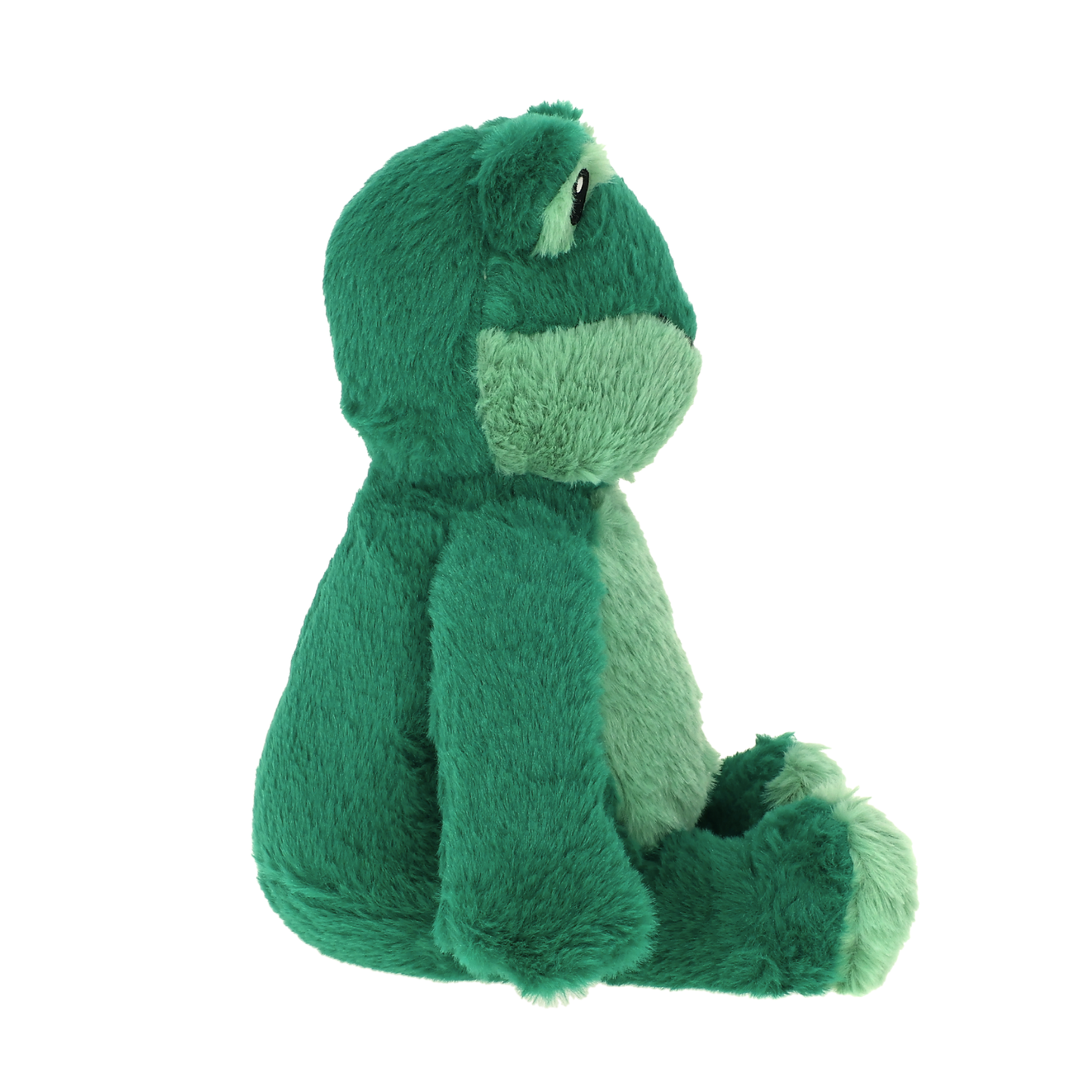 Freddy Frog