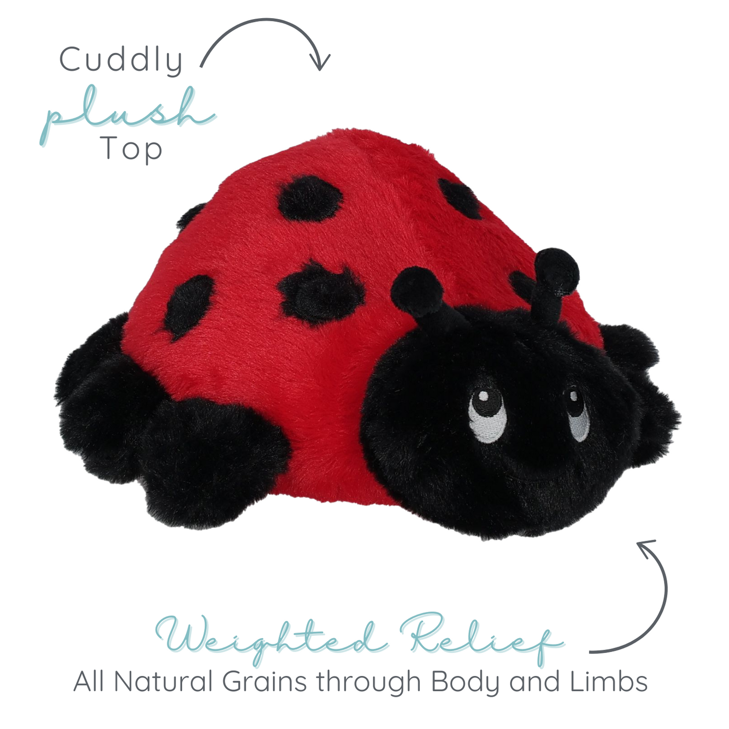 Lilly Ladybug