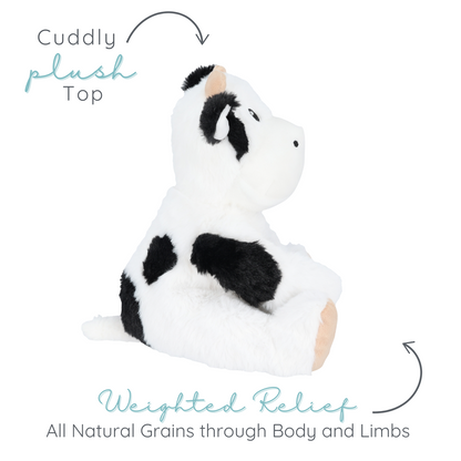 Callie Cow