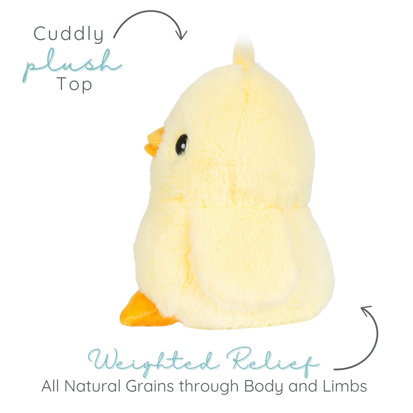 Cheerful Chick