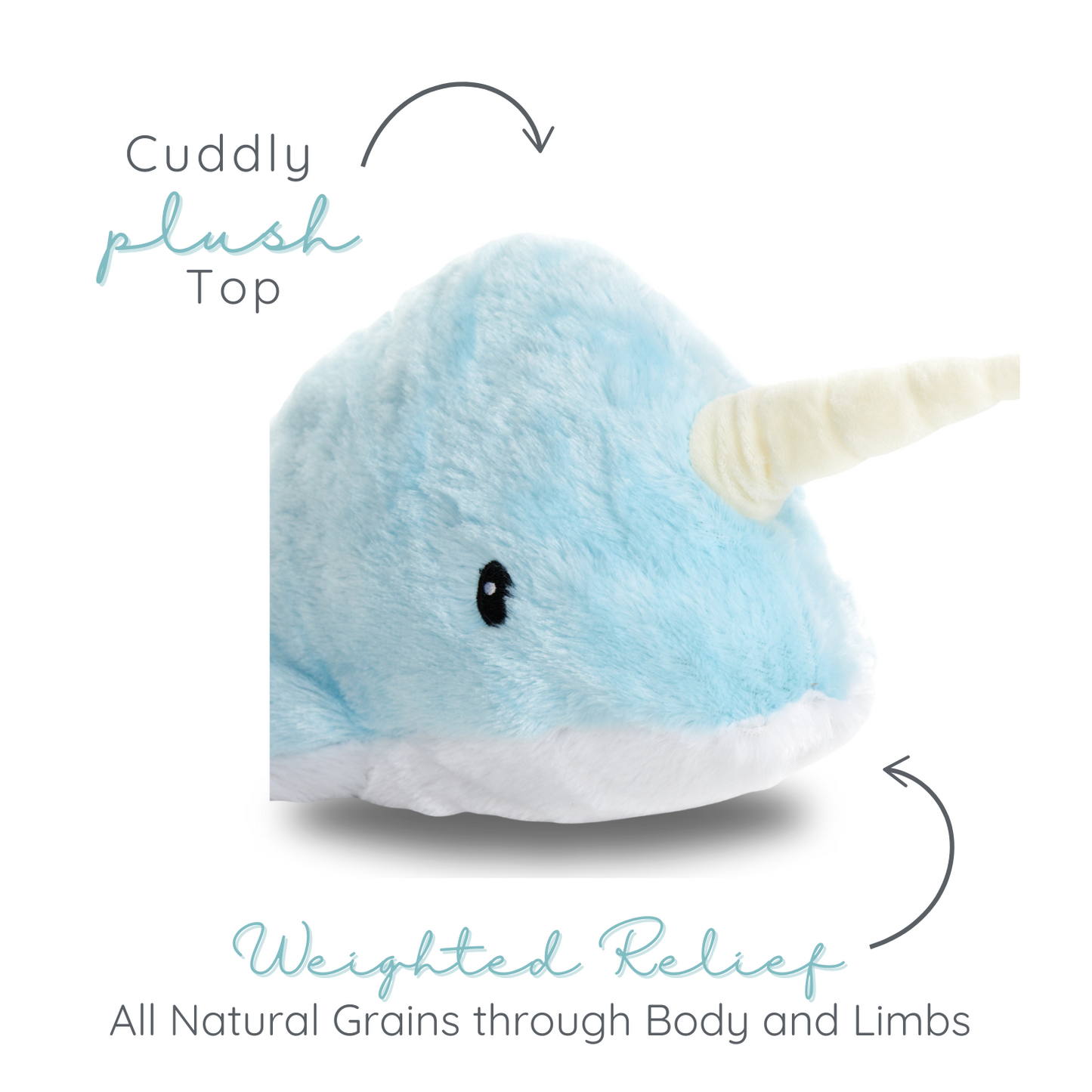 Nori Narwhal