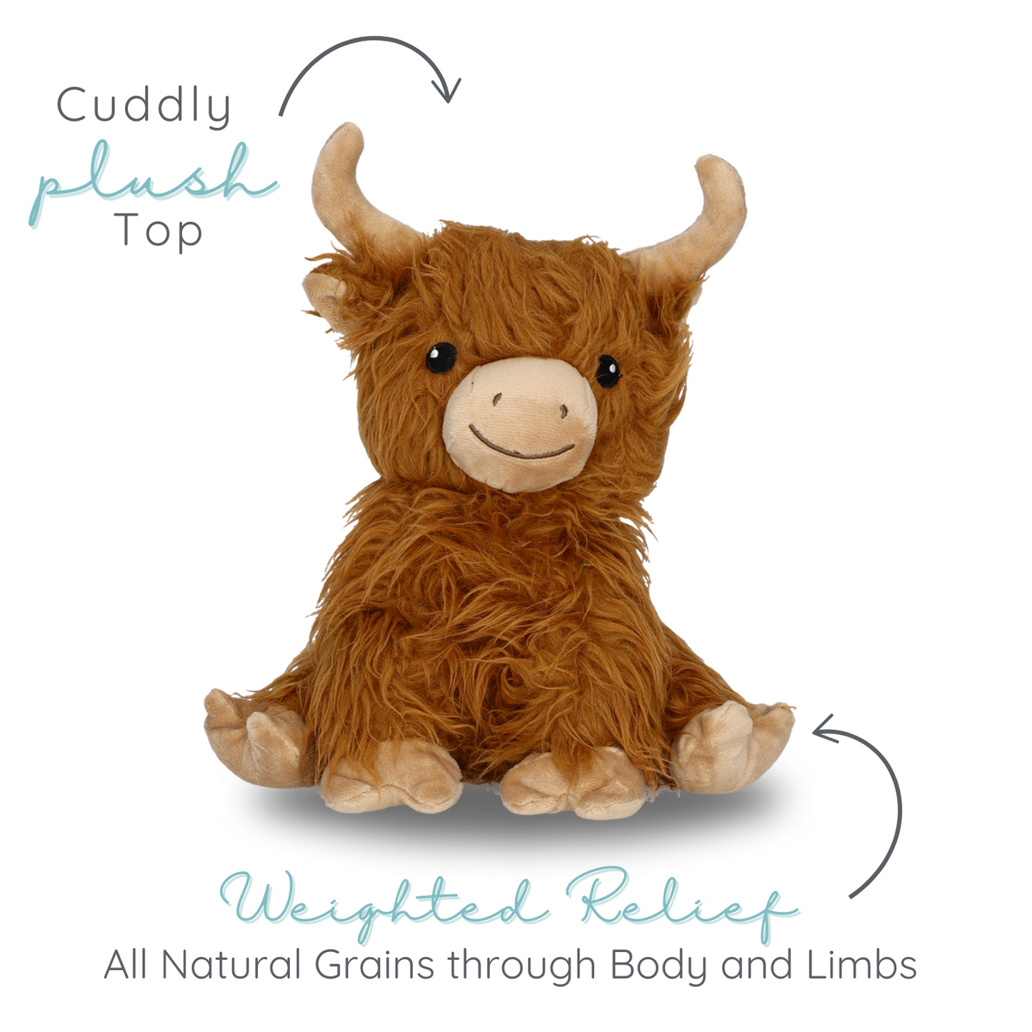 Henry Highland Cow