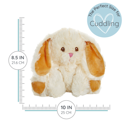 Bashful Bunny