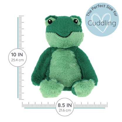 Freddy Frog