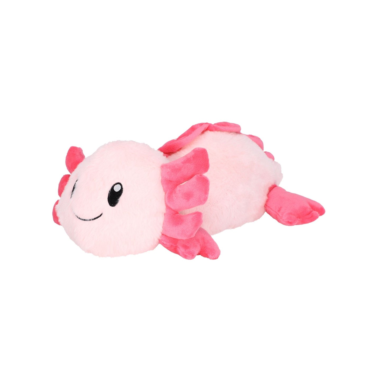 Ari Axolotl