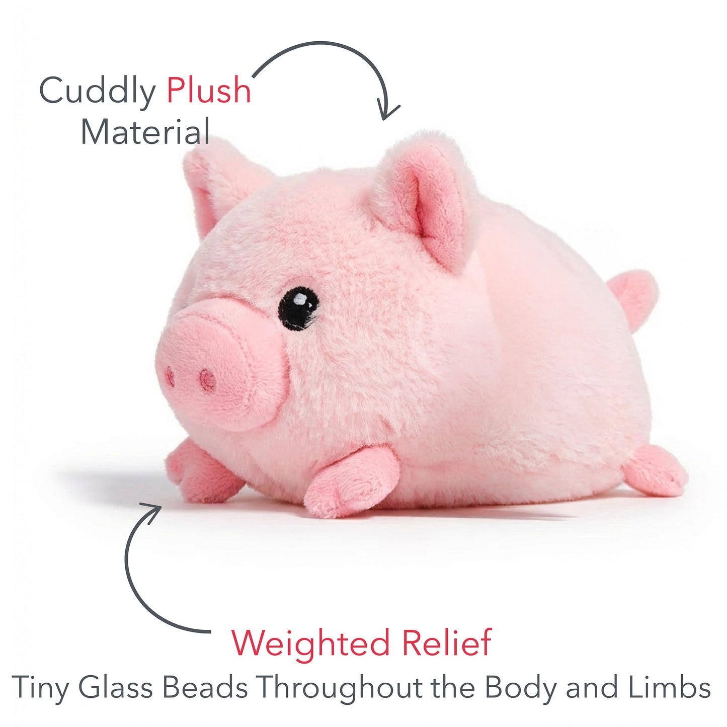 Baby Pig