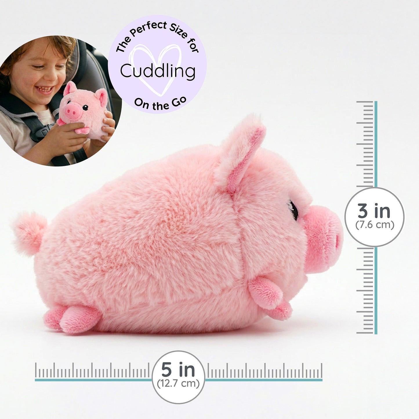 Baby Pig
