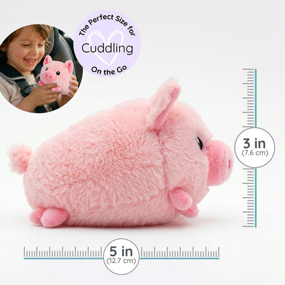 Baby Pig