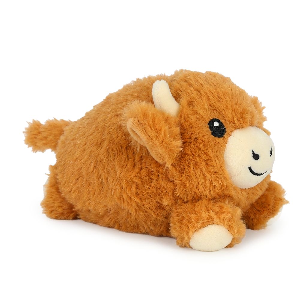 Baby Highland Cow