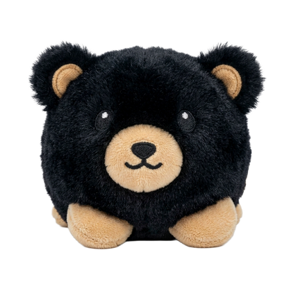 Baby Black Bear