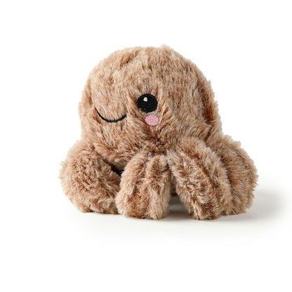 Baby Spider