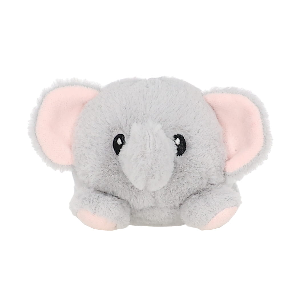 Baby Elephant