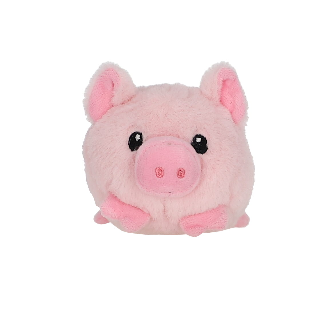 Baby Pig