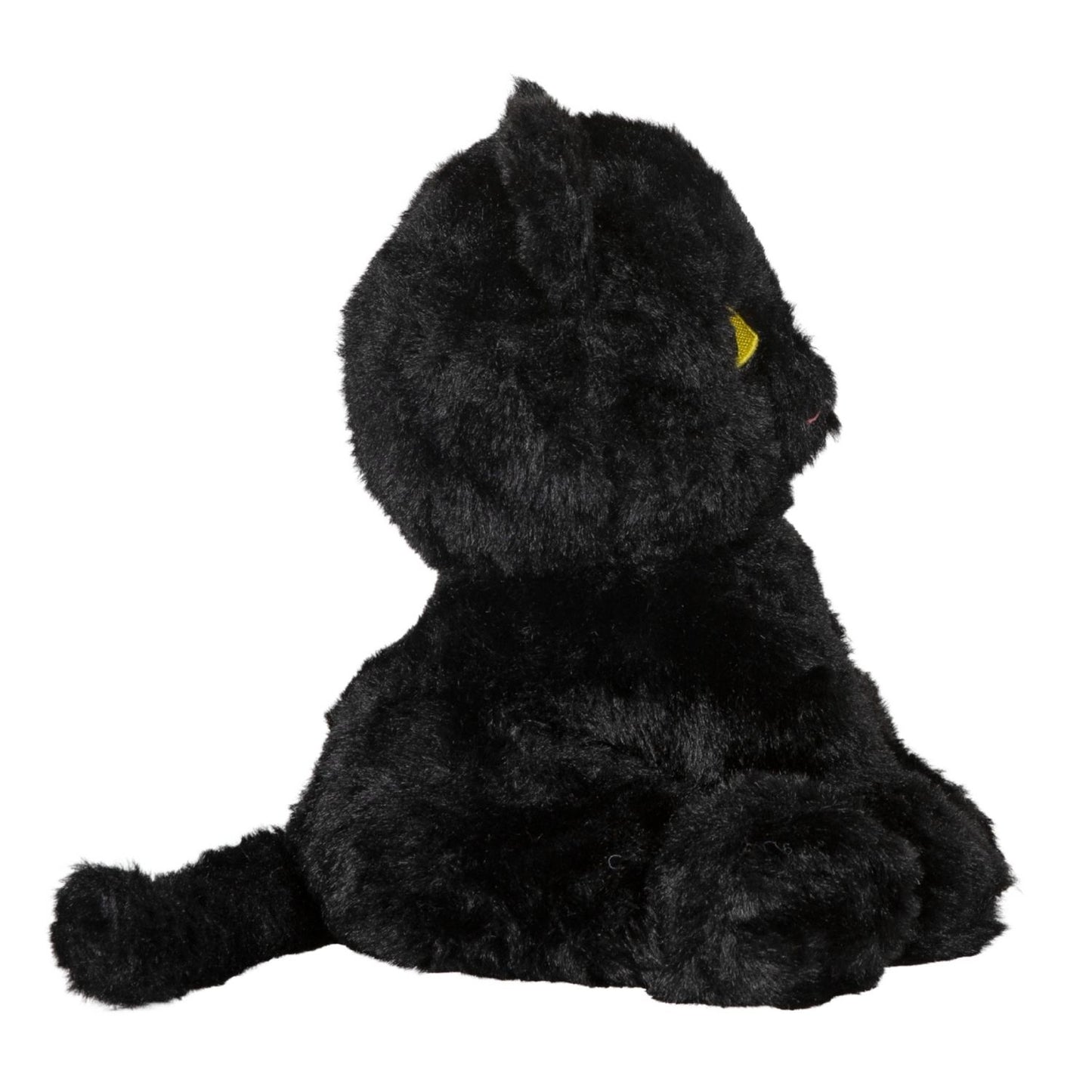 Lucky Black Cat