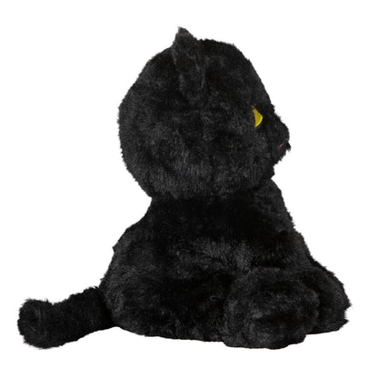 Lucky Black Cat