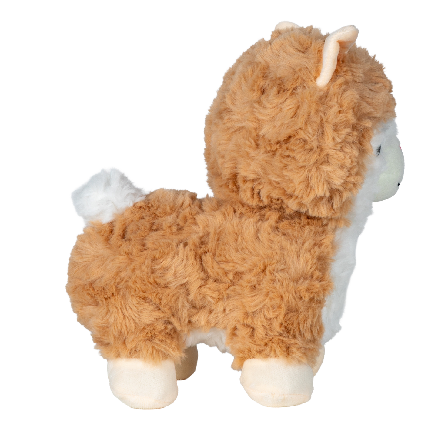 Lia Llama