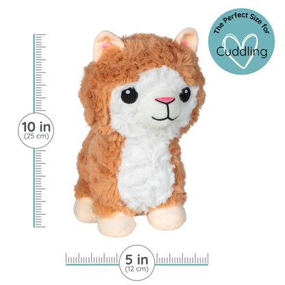 Lia Llama