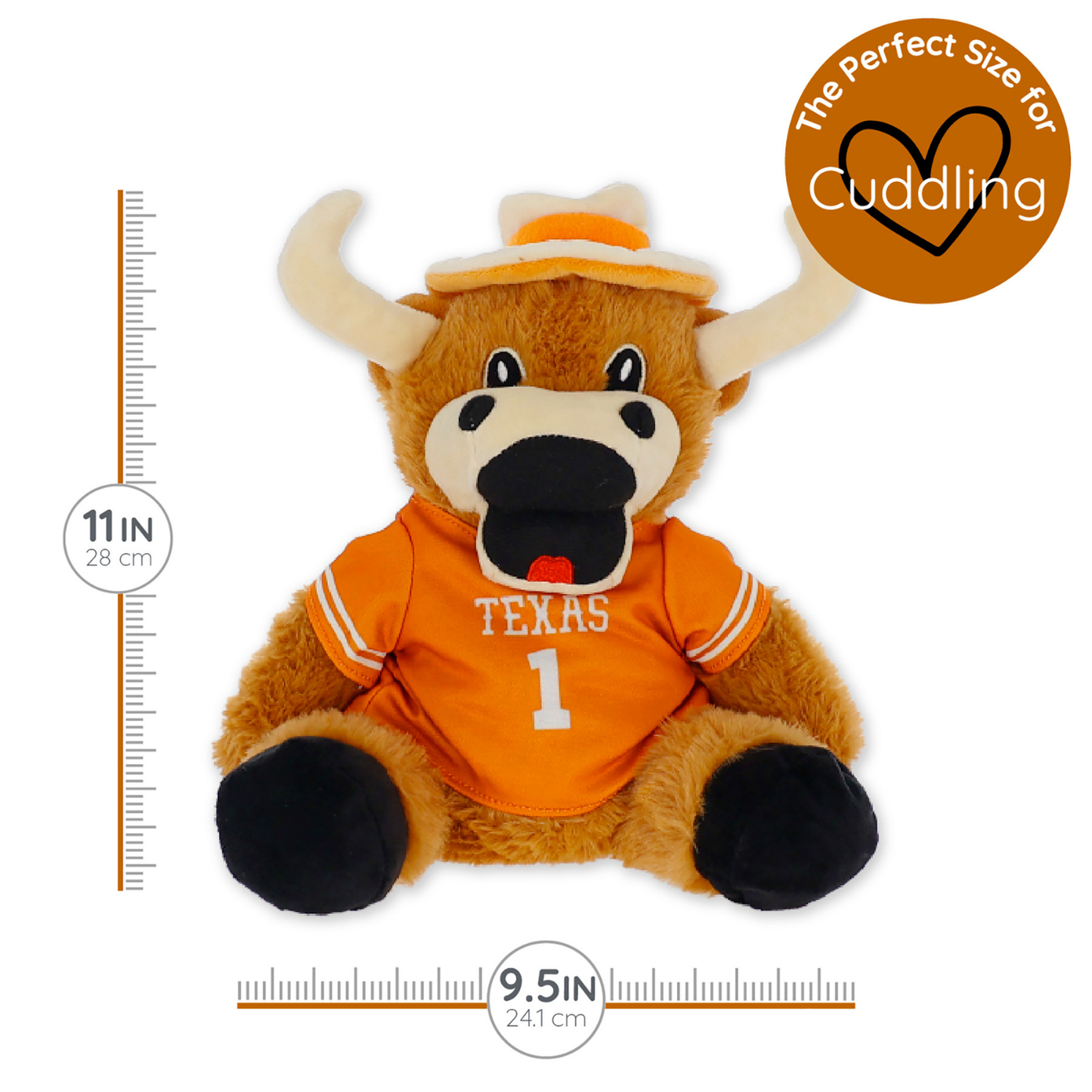 University of Texas Hook 'Em
