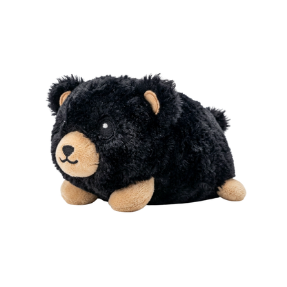 Baby Black Bear