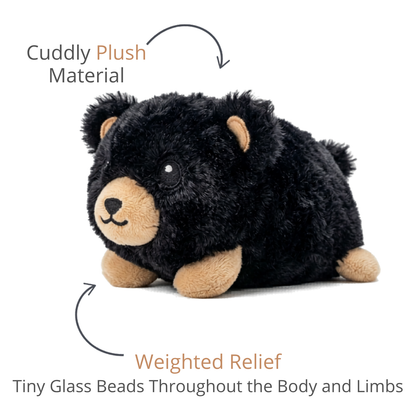 Baby Black Bear