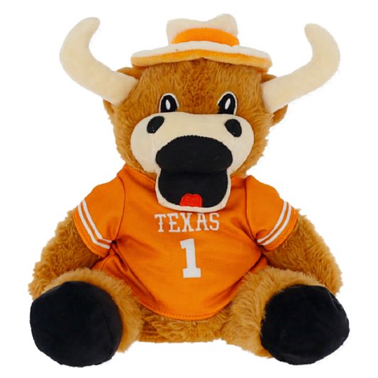 University of Texas Hook 'Em