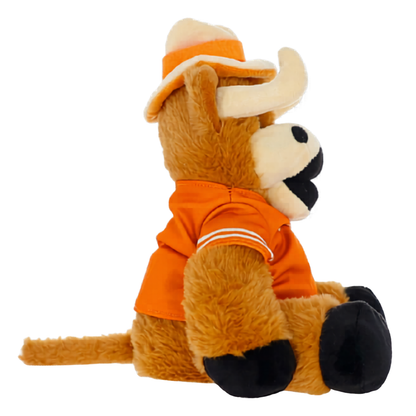 University of Texas Hook 'Em