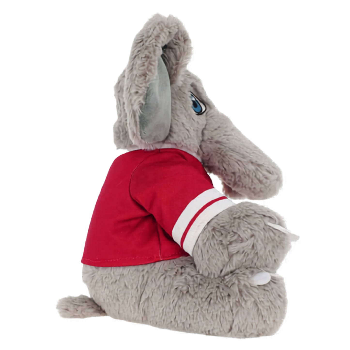 University of Alabama Big Al
