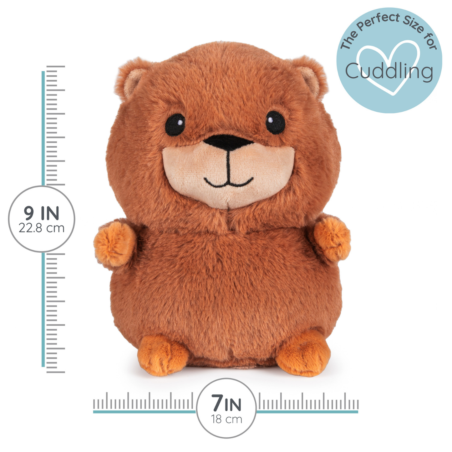 Clara Capybara