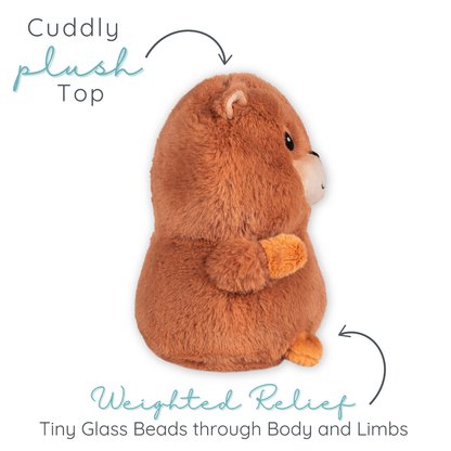 Clara Capybara
