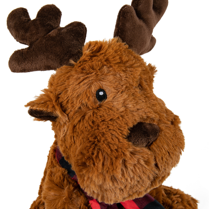 Rory Reindeer