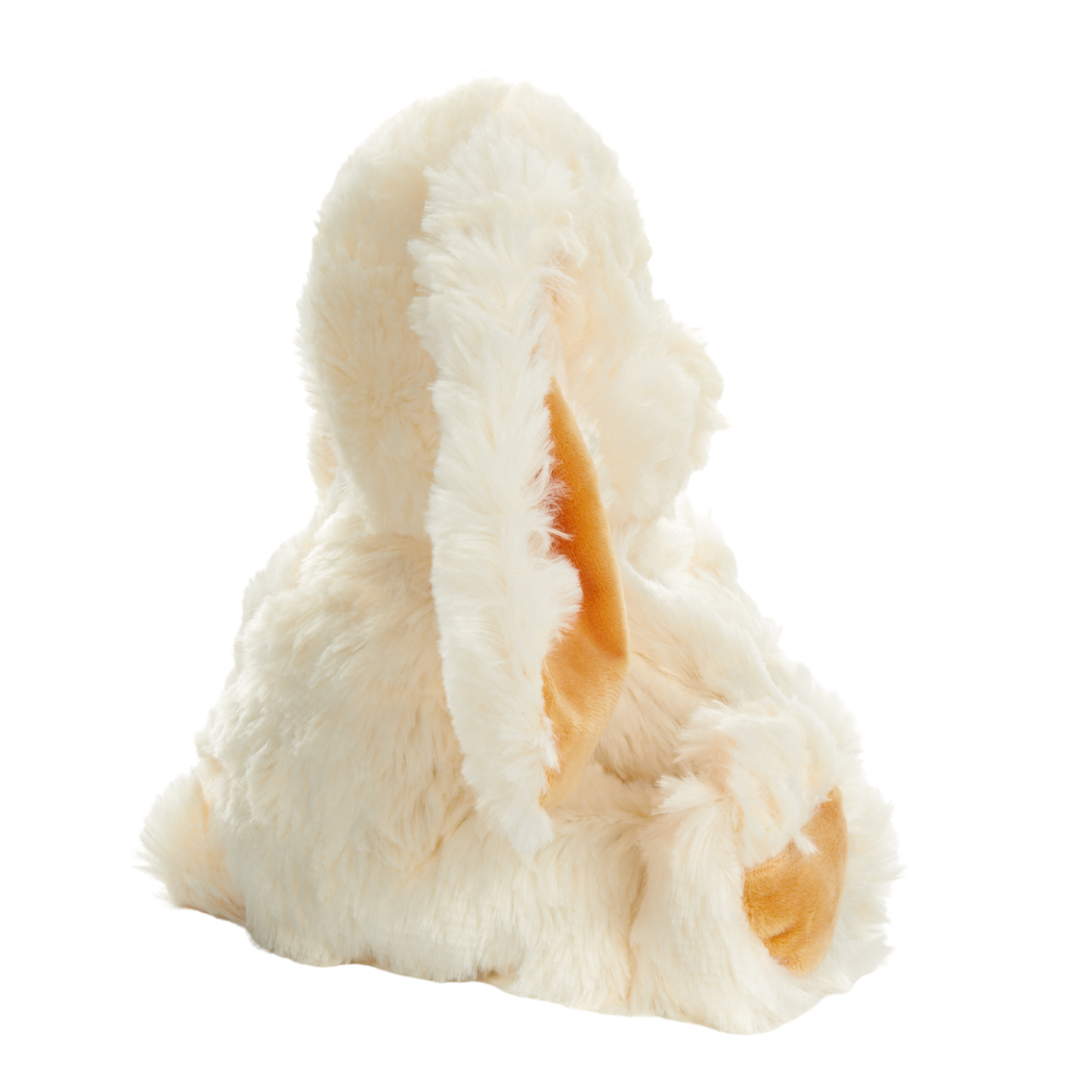 Bashful Bunny