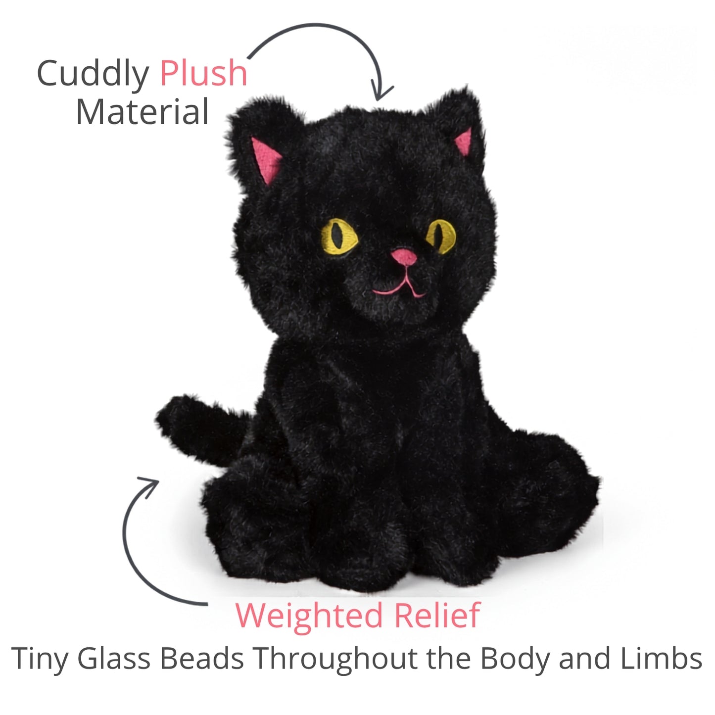 Lucky Black Cat