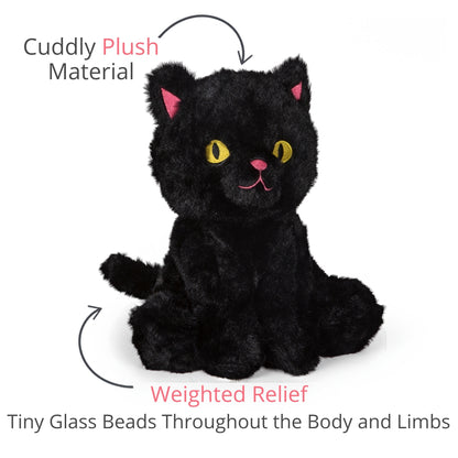 Lucky Black Cat