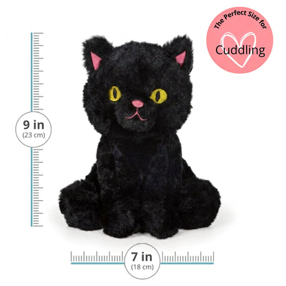 Lucky Black Cat