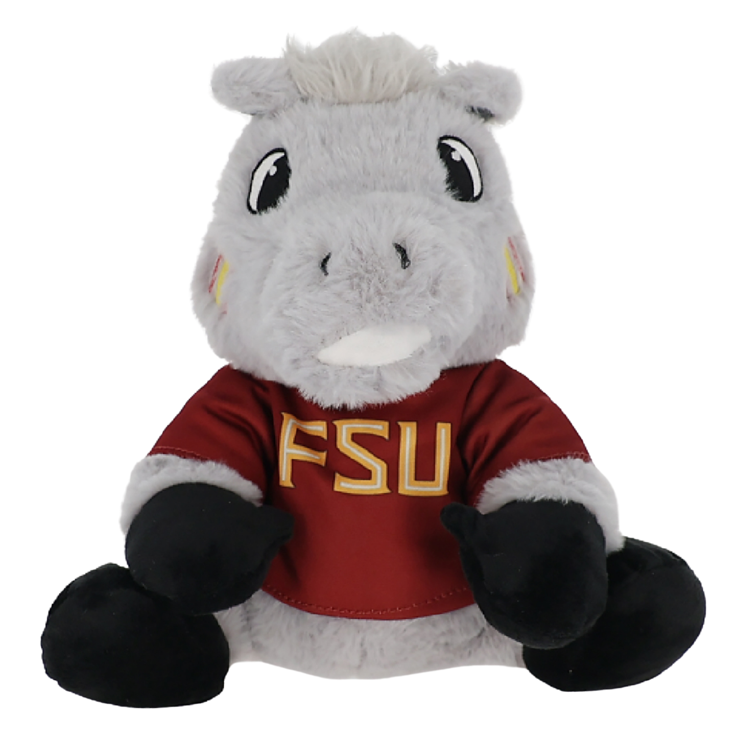 Florida State University Cimarron