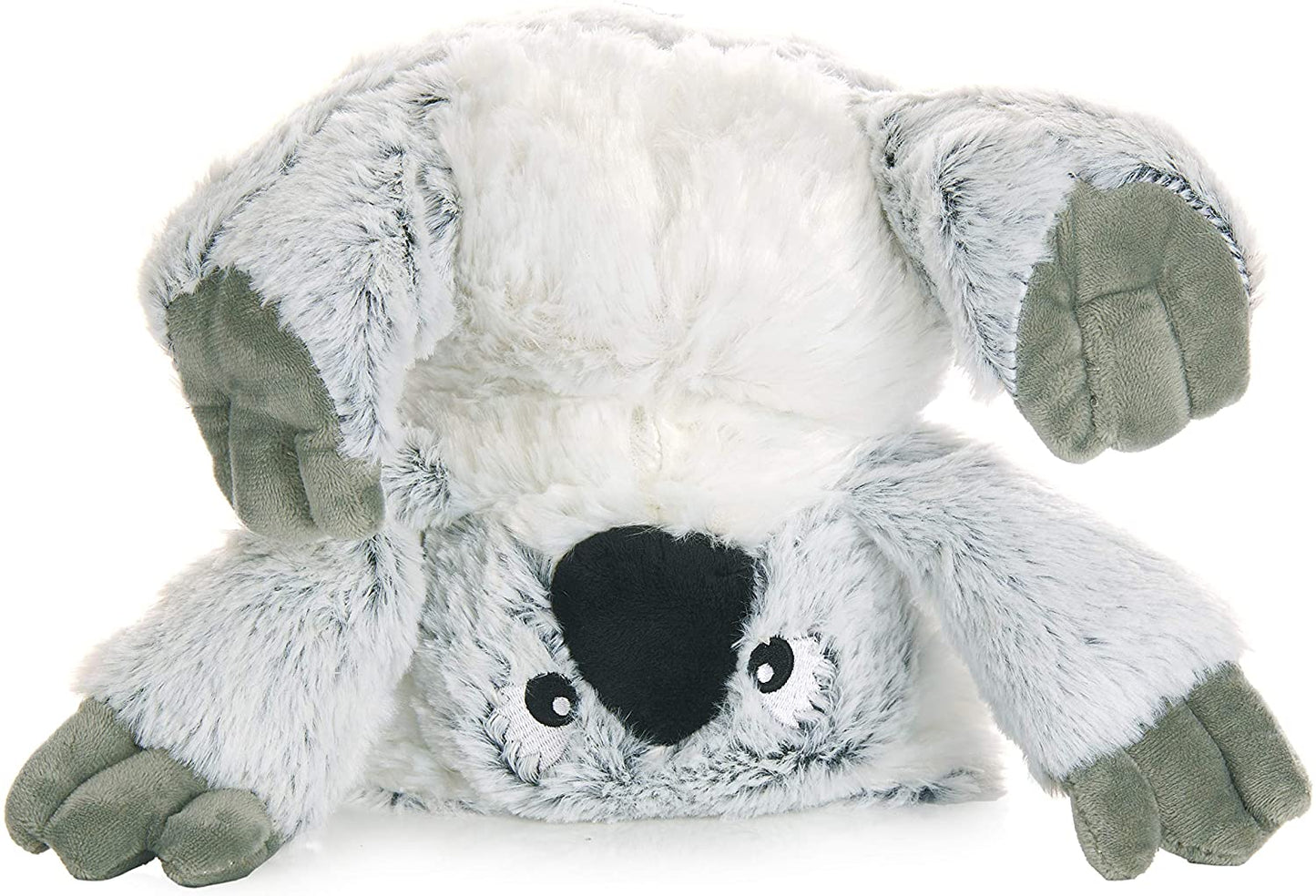 Cuddly Koala